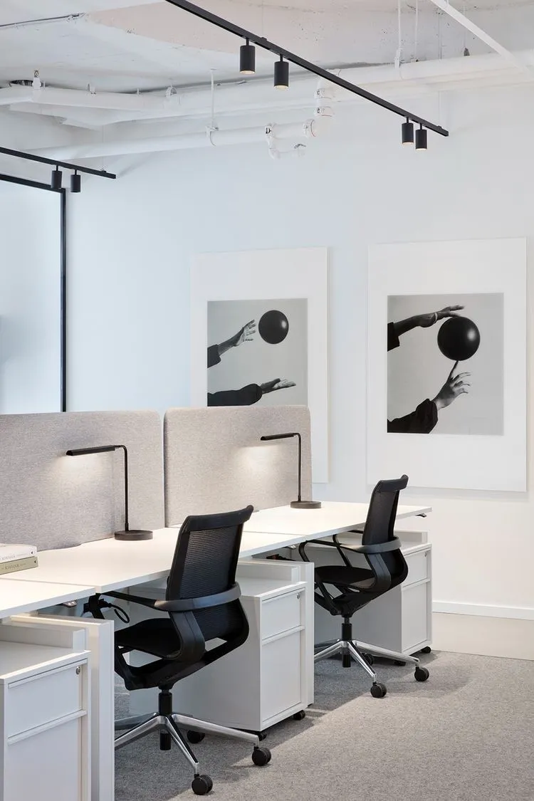 Accessible modern commercial office renovation