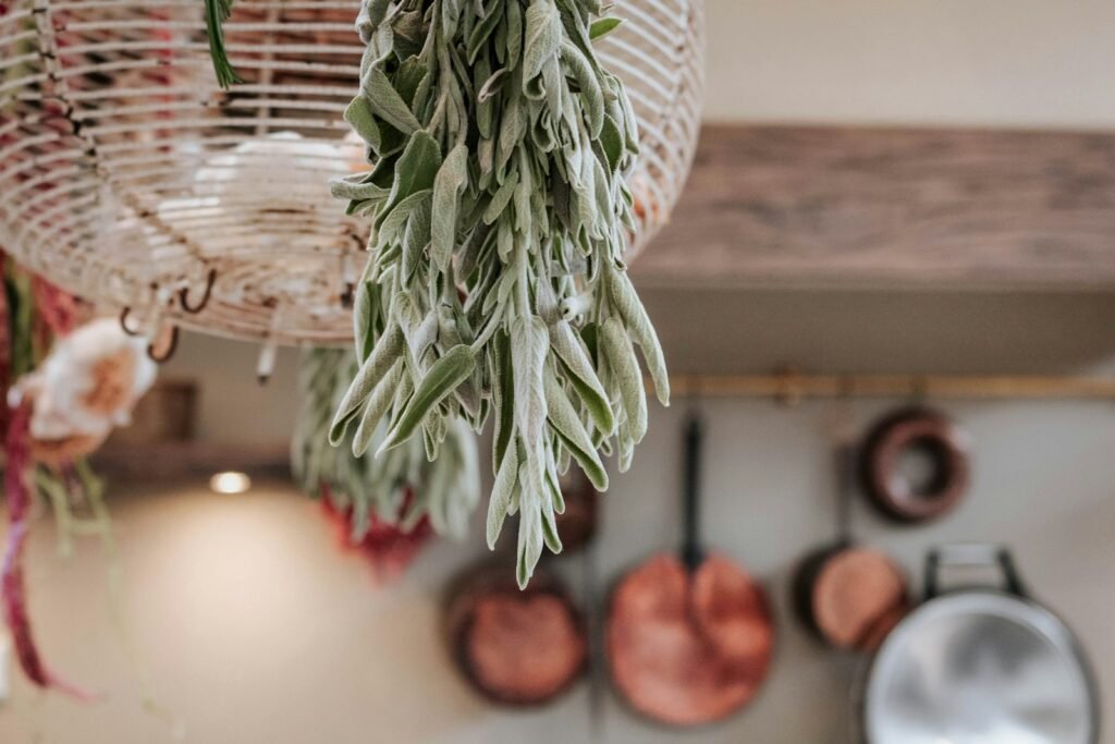 Potted plant on a wooden table