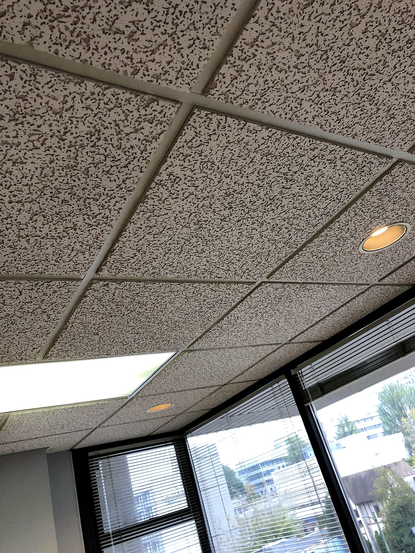 T-bar ceiling tiles being replaced during the office renovation