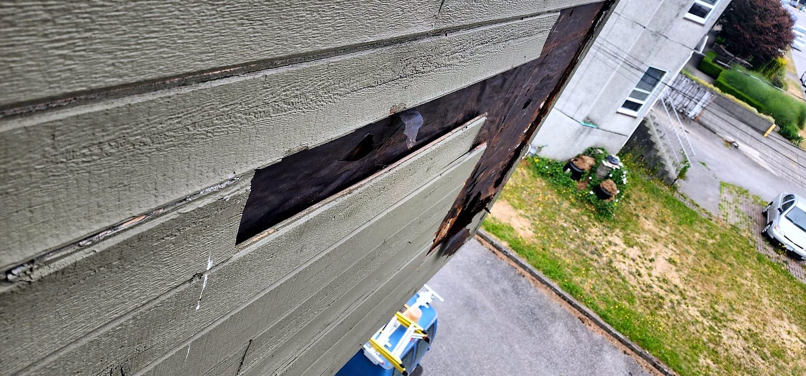 Rotted exterior wood siding found during the Burnaby office renovation, repaired under a change order