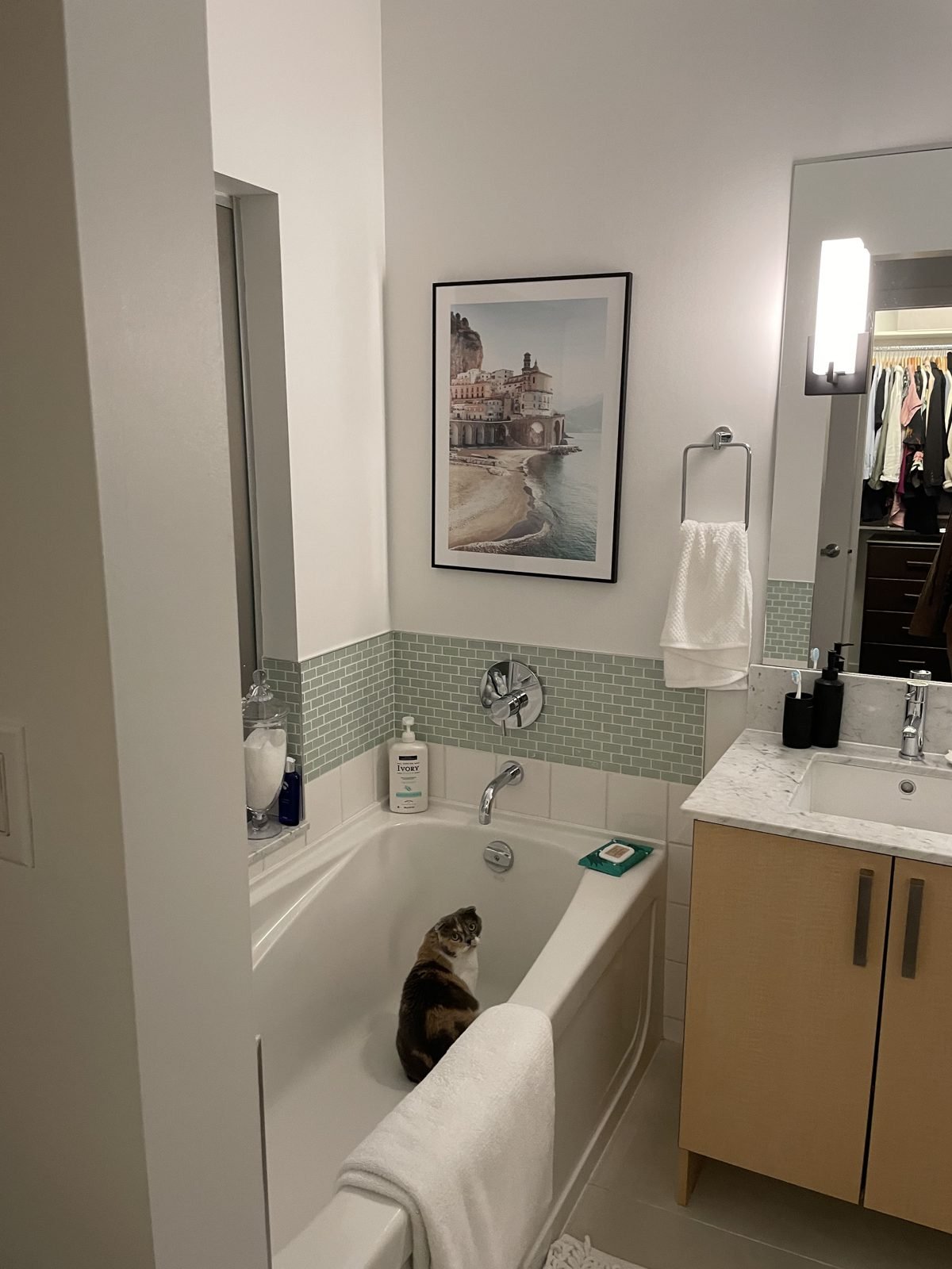 Before: condo ensuite tub with a green mosaic tile band and maple vanity in Gastown