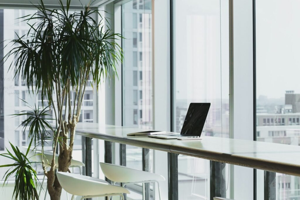 Bright office with natural light and plants